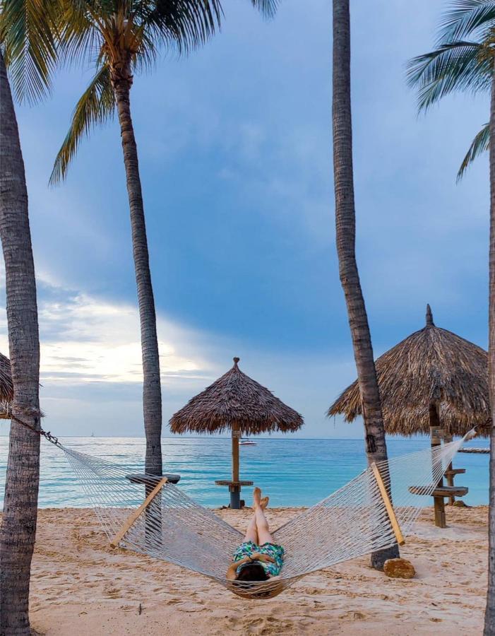Divi Aruba Phoenix Beach Resort Palm Beach Exteriör bild