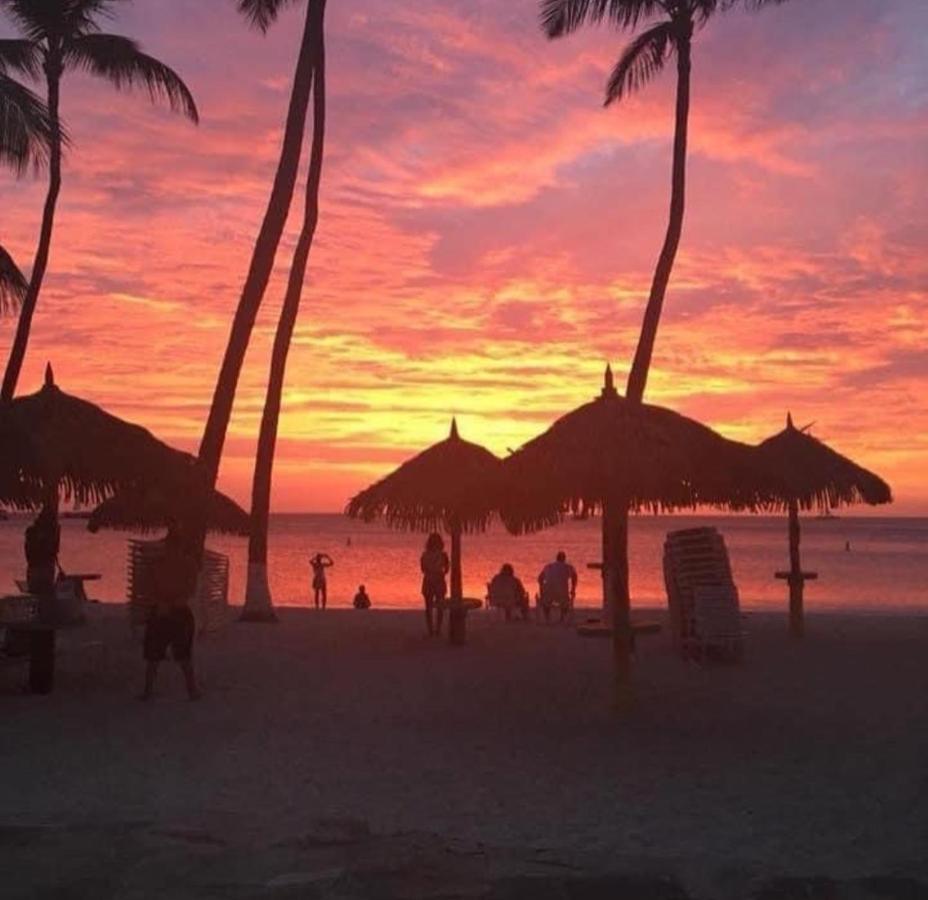 Divi Aruba Phoenix Beach Resort Palm Beach Exteriör bild